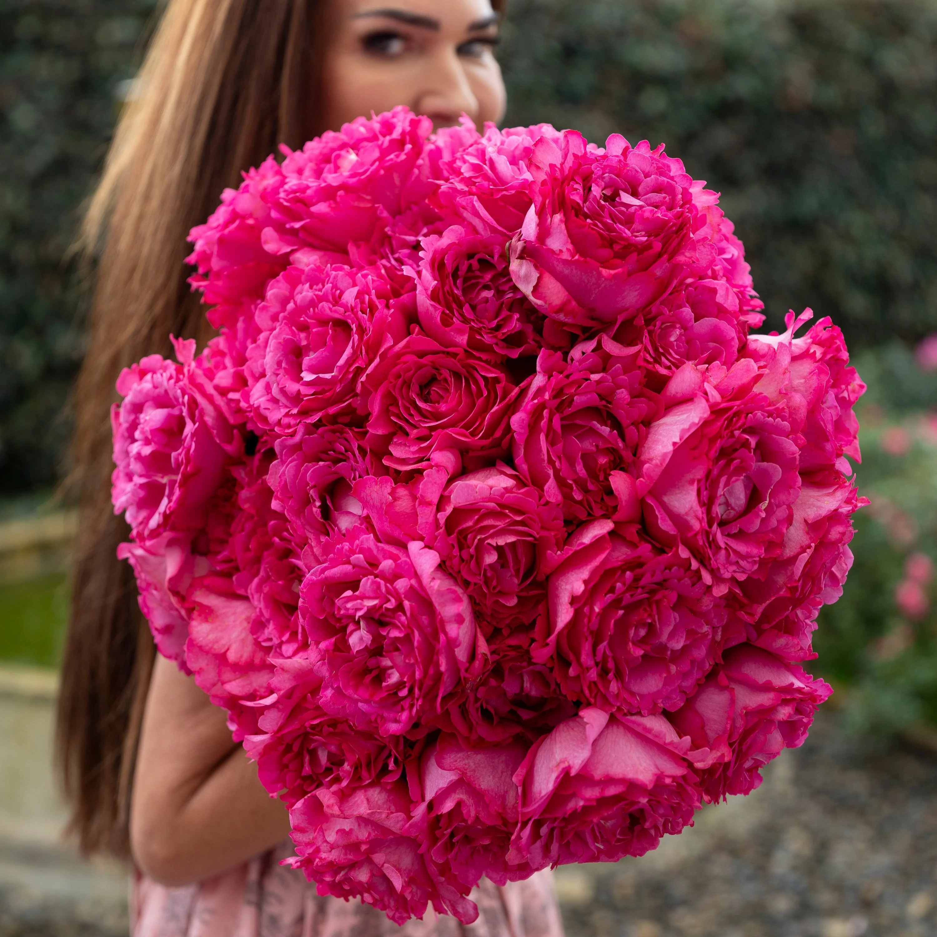 Always in Bloom™ Garden Rose Subscription - Image 17