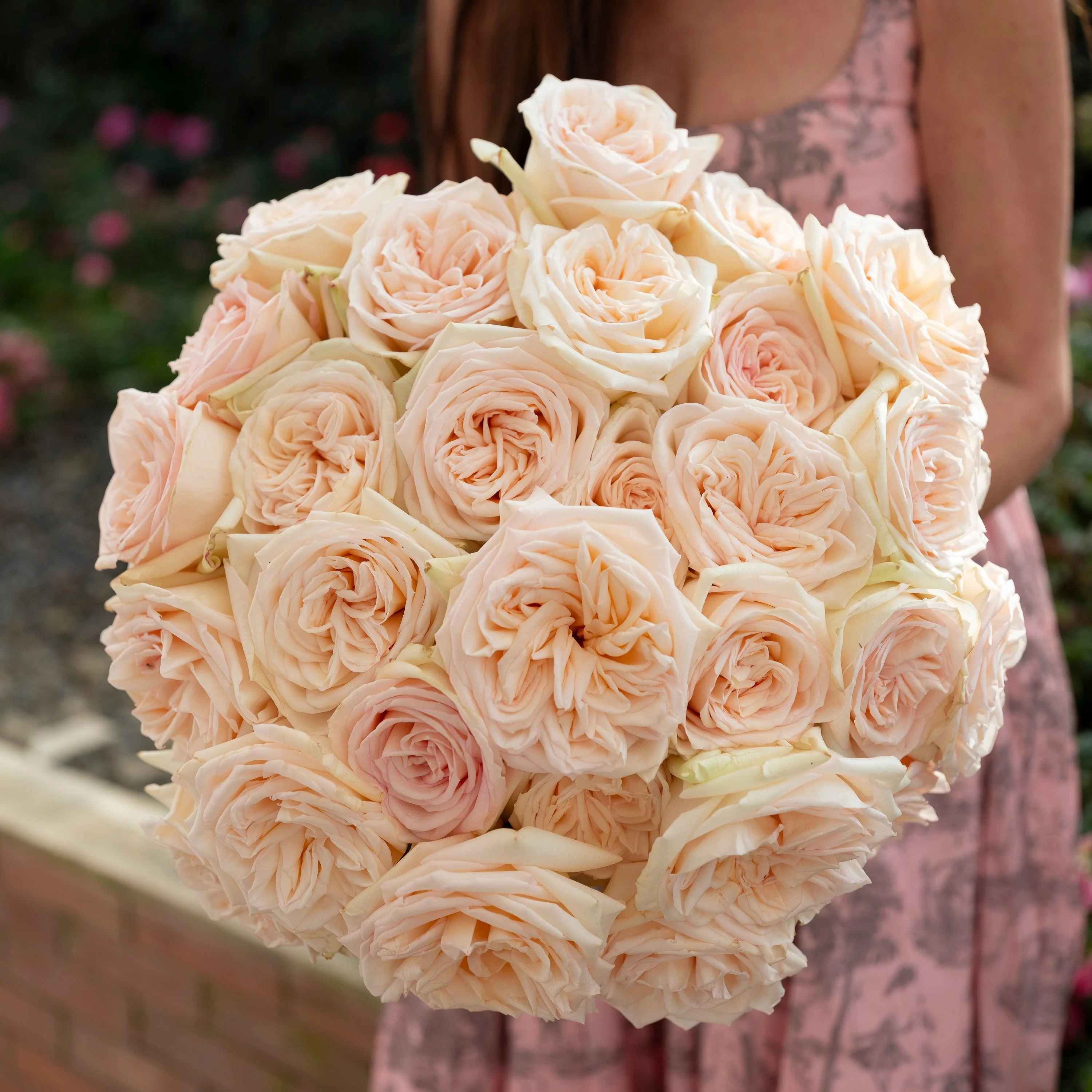 Always in Bloom™ Garden Rose Subscription - Image 6