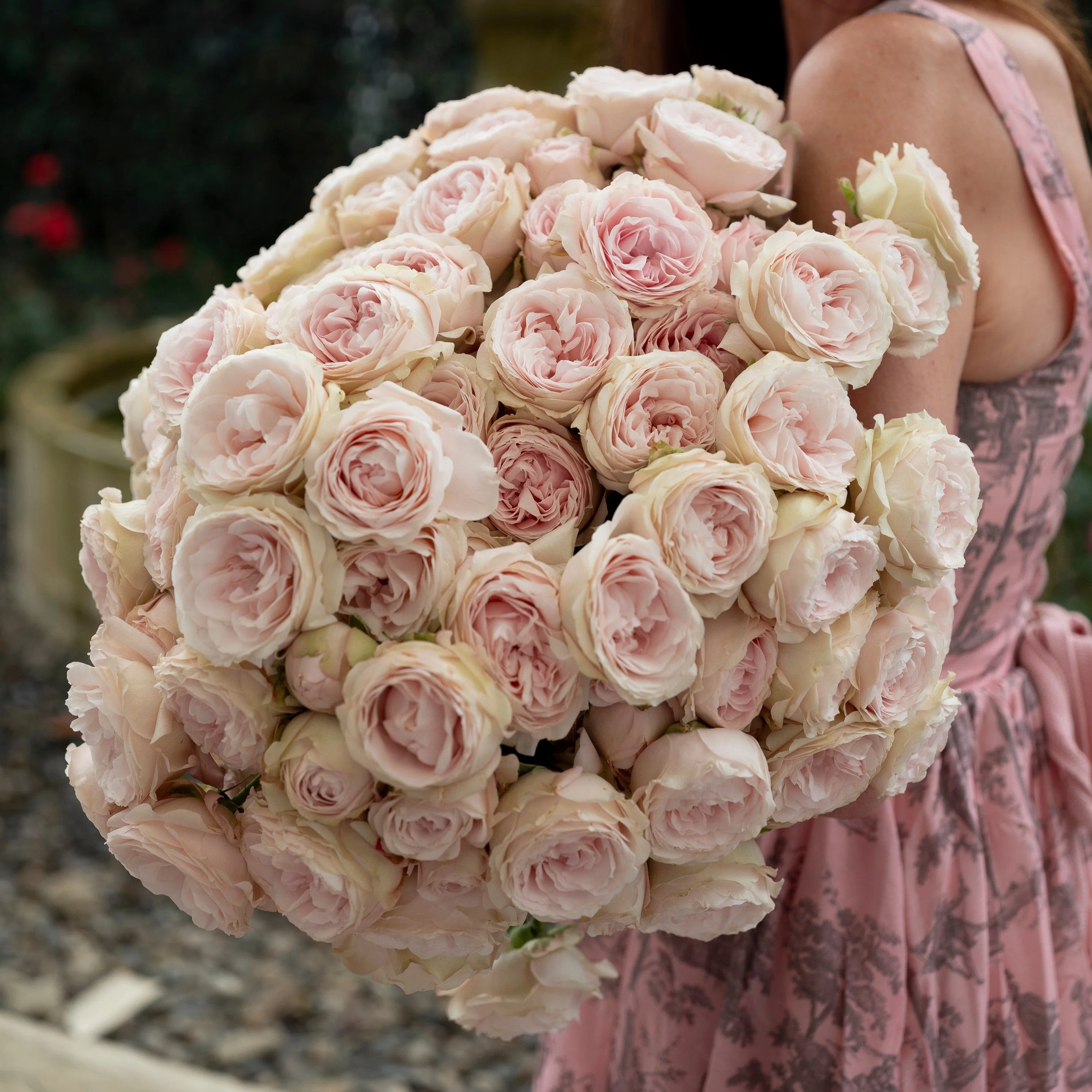 Always in Bloom™ Garden Rose Subscription - Image 9