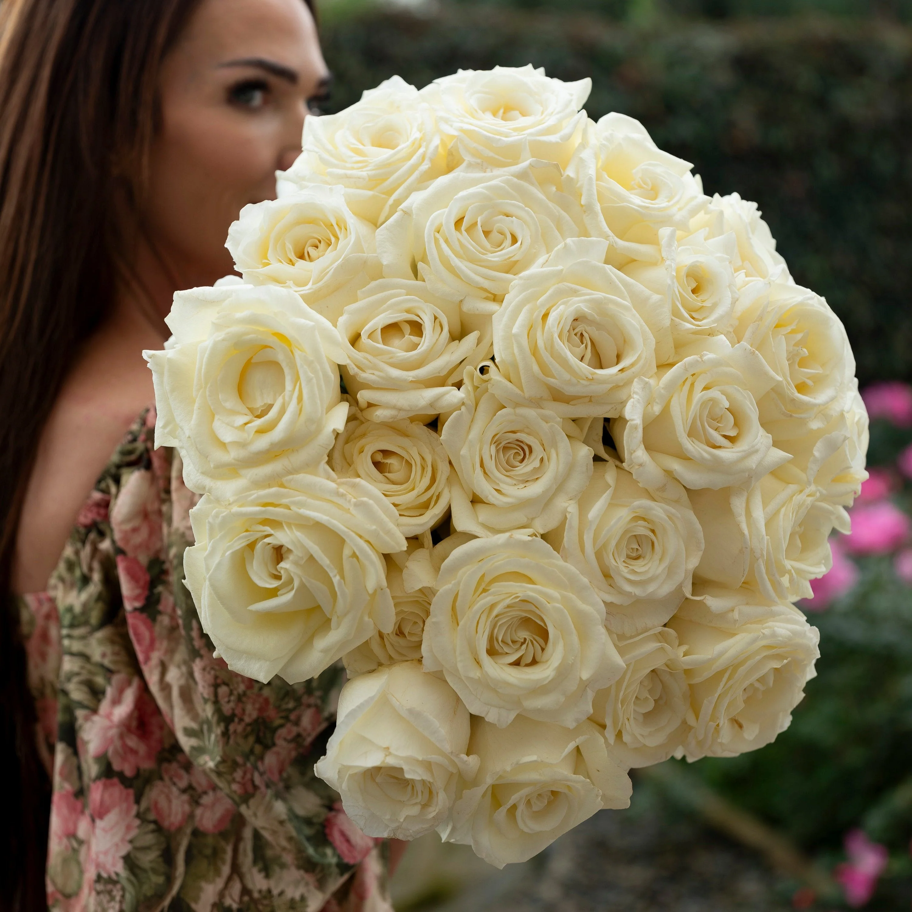 David Austin® Always in Bloom™ Subscription - Image 7