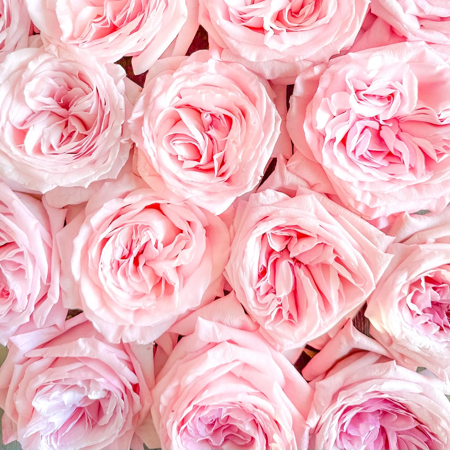 Pink O'Hara® Bouquet - Image 4
