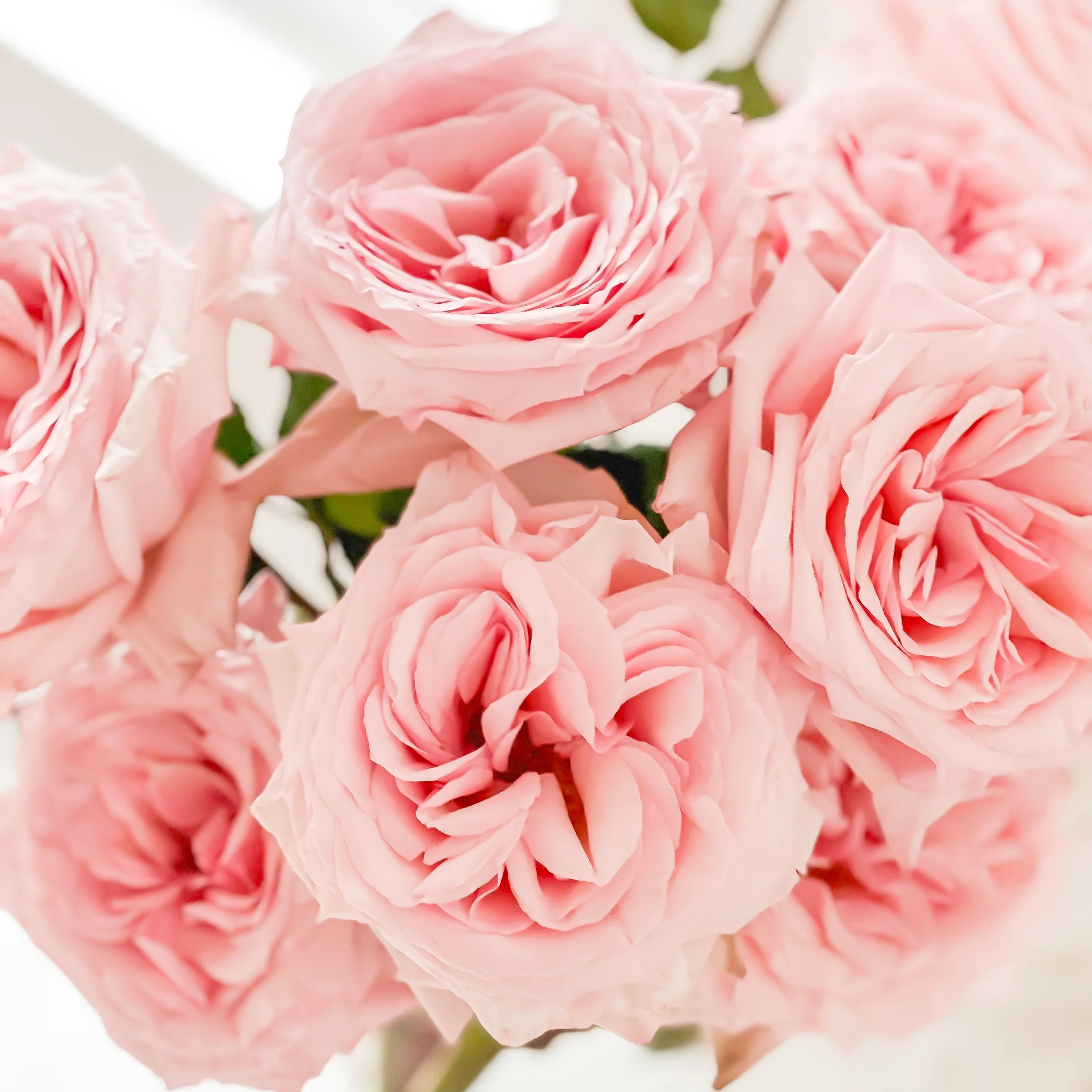 Pink O'Hara® Bouquet - Image 7
