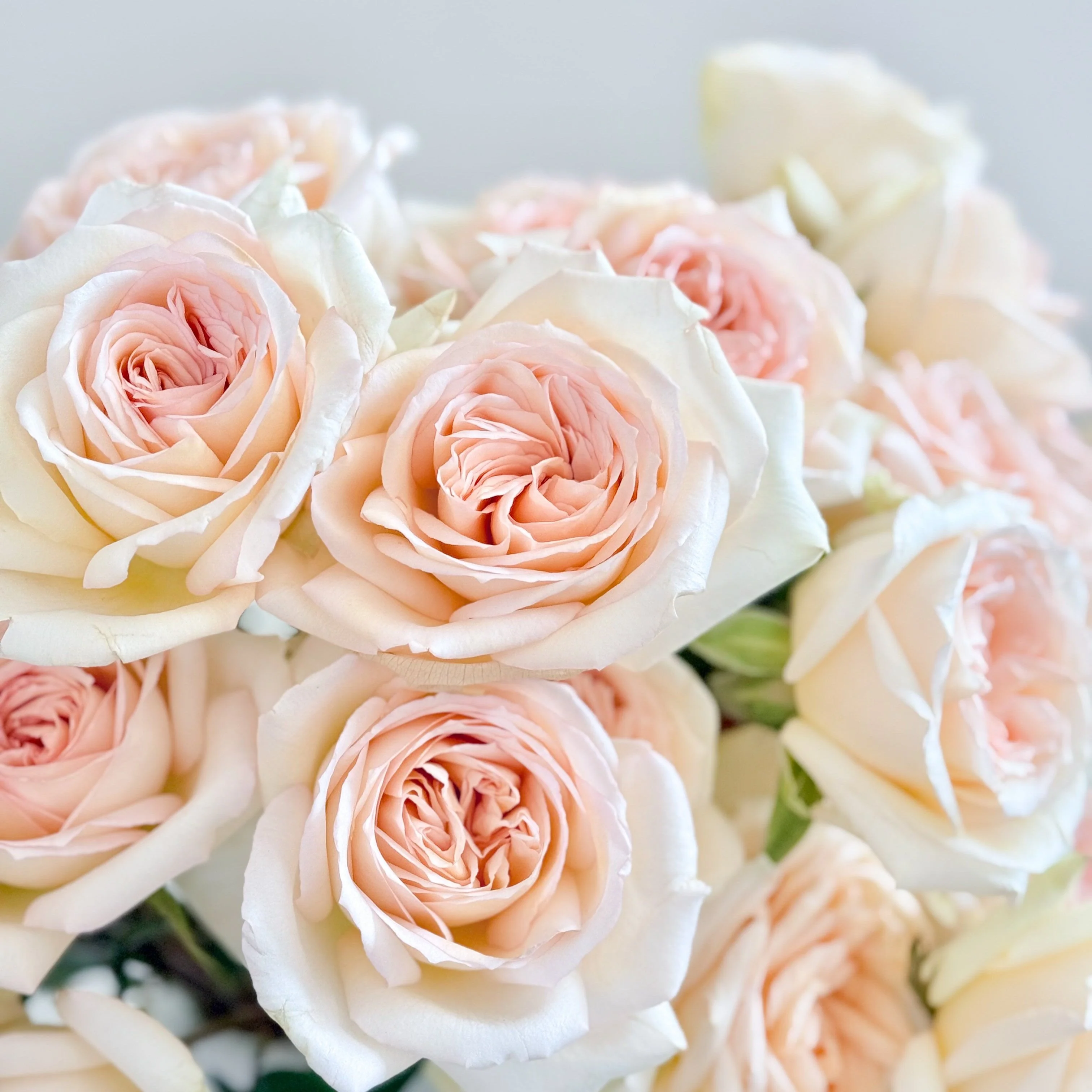 Princess Maya® Bouquet - Image 4