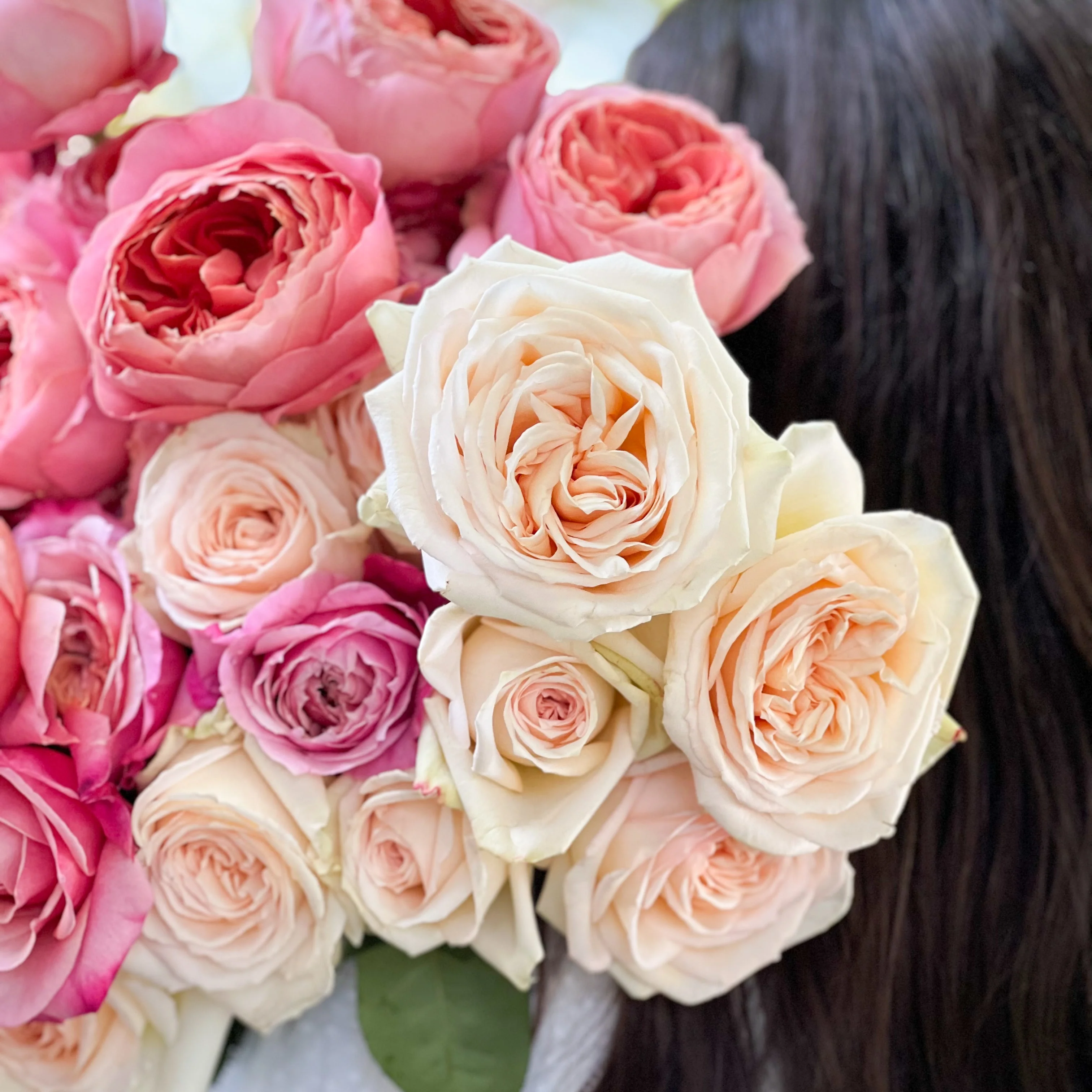 Raspberry and Cream Garden Rose Bundle - Image 4